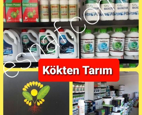2dbb074a a57e 45c7 b51c ad8420fced8e