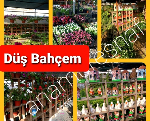 DÜŞ BAHÇEM PEYZAJ 2
