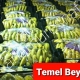 TEMEL BEY MUZ SARARTMA 1