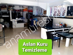 ASLAN KURU TEMİZLEME 7