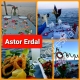 ASTOR ERDAL 3