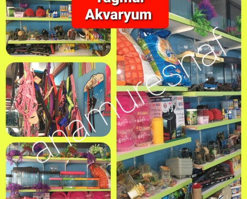 YAĞMUR AKVARYUM 5