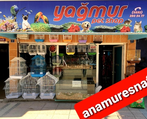 YAĞMUR AKVARYUM 7