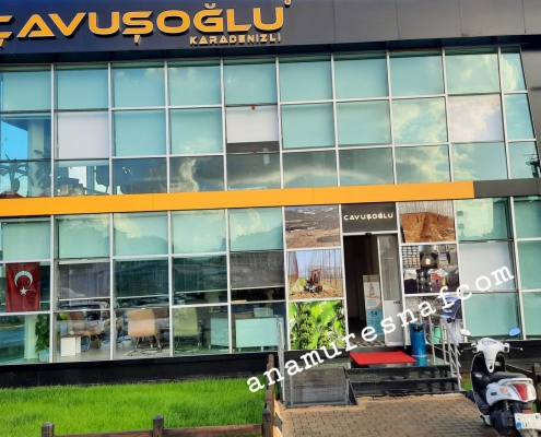 cavusoglu 2