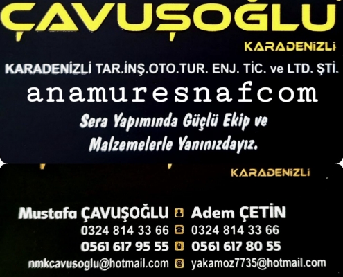 cavusoglu 5