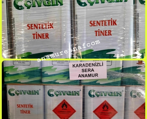 cavusoglu 6