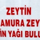 anamur zeytinyagi 3