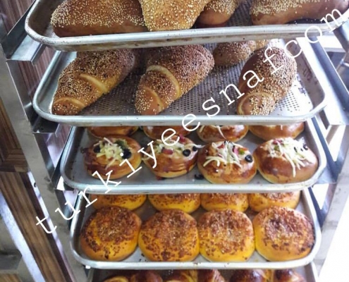 ari maya pastanesi 3