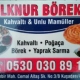 ilknur borek2