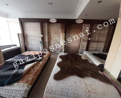 saray hali 2