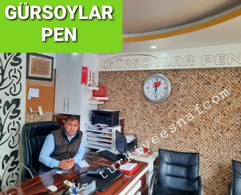 gursoylar pen