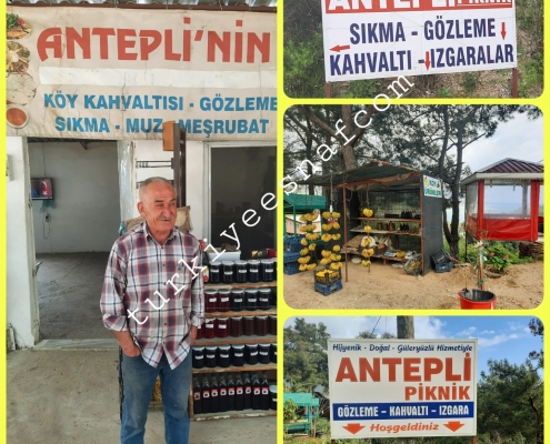 ANTEPLI PIKNIK DINLENME TESISI8 2