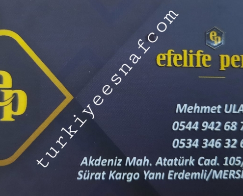 ERDEMLI EFELIFE PERDE6