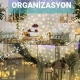 organizasyon