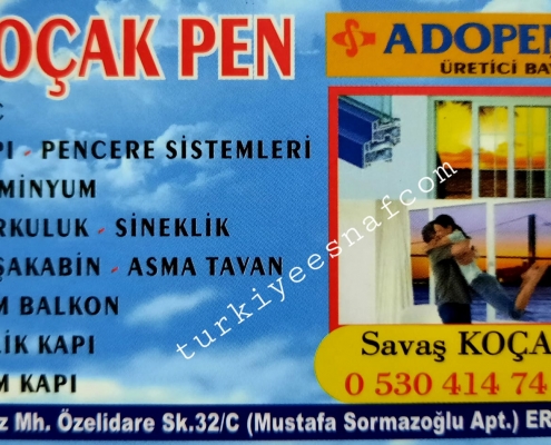 Erdemli kocak Pen