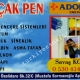 Erdemli kocak Pen