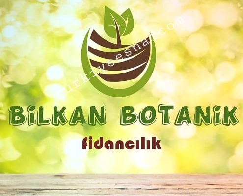 bilkan botanik