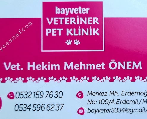 BAYVETER VETERINER PET KLINIK