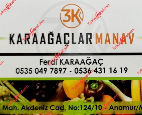 KARAAGACLAR MANAV 495x400 1