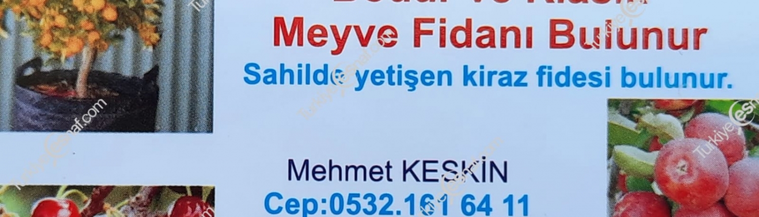 KESKIN FIDANCILIK