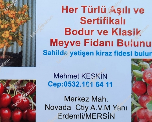 KESKIN FIDANCILIK