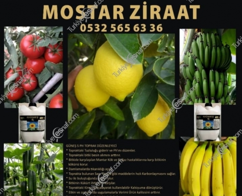 MOSTAR ZIRAAT 3