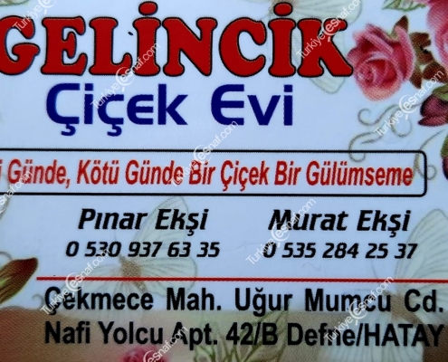 GELINCIK CICEK EVI 2