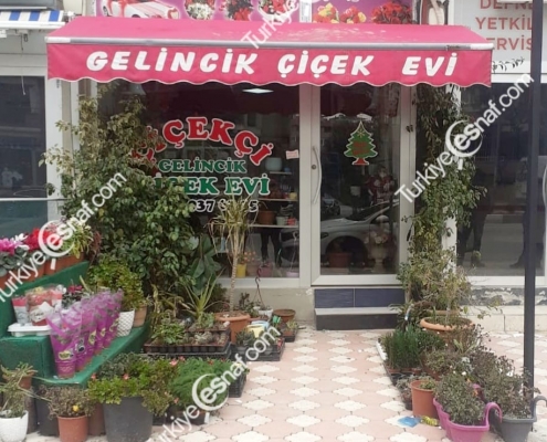 GELINCIK CICEK EVI