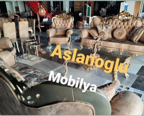 ANTAKYA ASLANOGLU MOBILYA ANT GAZETESI 6