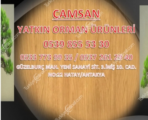 CAMSAN YATKIN ORMAN URUNLERI