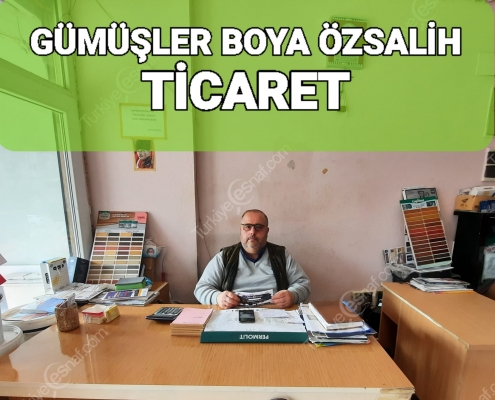 DEFNE GUMUSLER BOYA OZSALIH TICARET