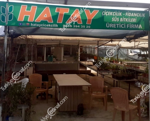 HATAY CICEKCILIK FIDANCILIK SUS BITKILERI 2