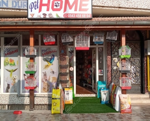 HATAY DEFNE PET HOME