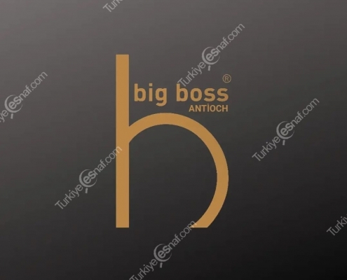 BIG BOSS CAFE