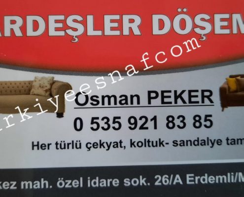 ERDEMLI KARDESLER DOSEME