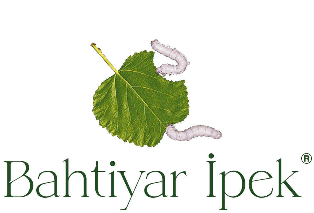 bahtiyar ipek logo