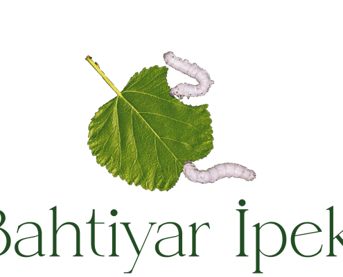 bahtiyar ipek logo