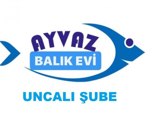 AYVAZ BALIK EVI kapak 1