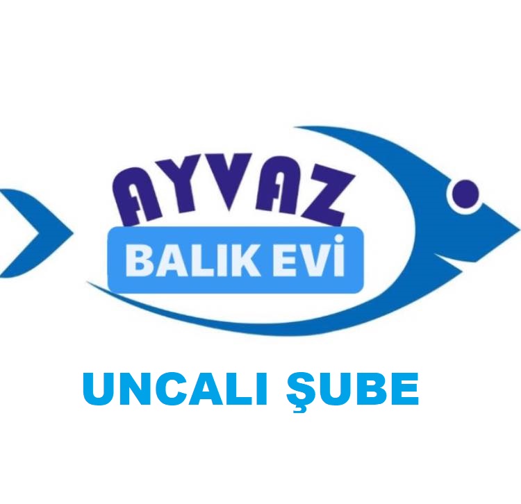 AYVAZ BALIK EVI kapak 1