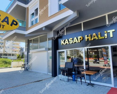 KASAP HALIT 2