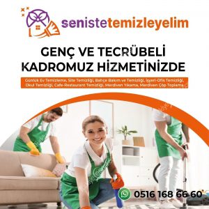 SENISTETEMIZLEYELIM TEMIZLIK SIRKETI hizmet