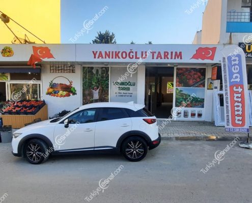 YANIKOGLU TARIM 2