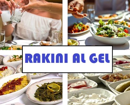 RAKINI AL GEL 1