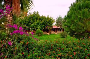 ANAMUR ASLIHAN MOTEL 8 1