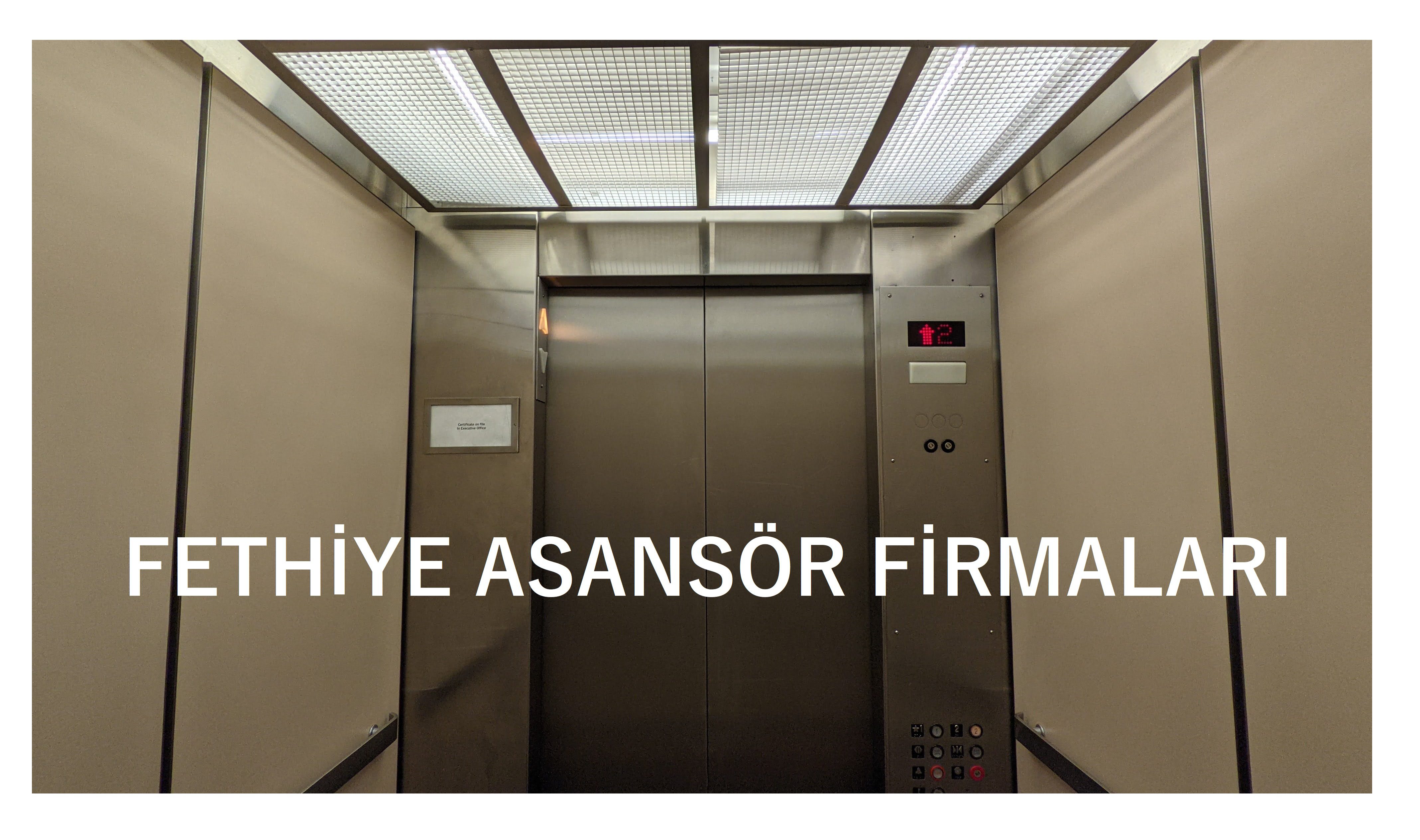 asansor firmalari