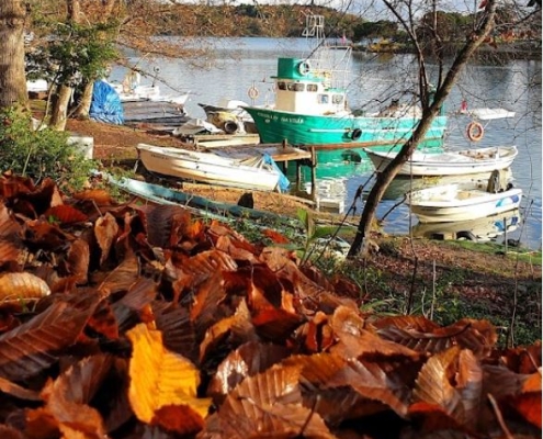 Sinop'un en iyi apart oteli15 Sinopun en iyi apart oteli15